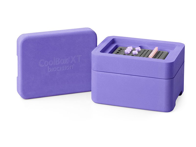 CoolBox XT Purple