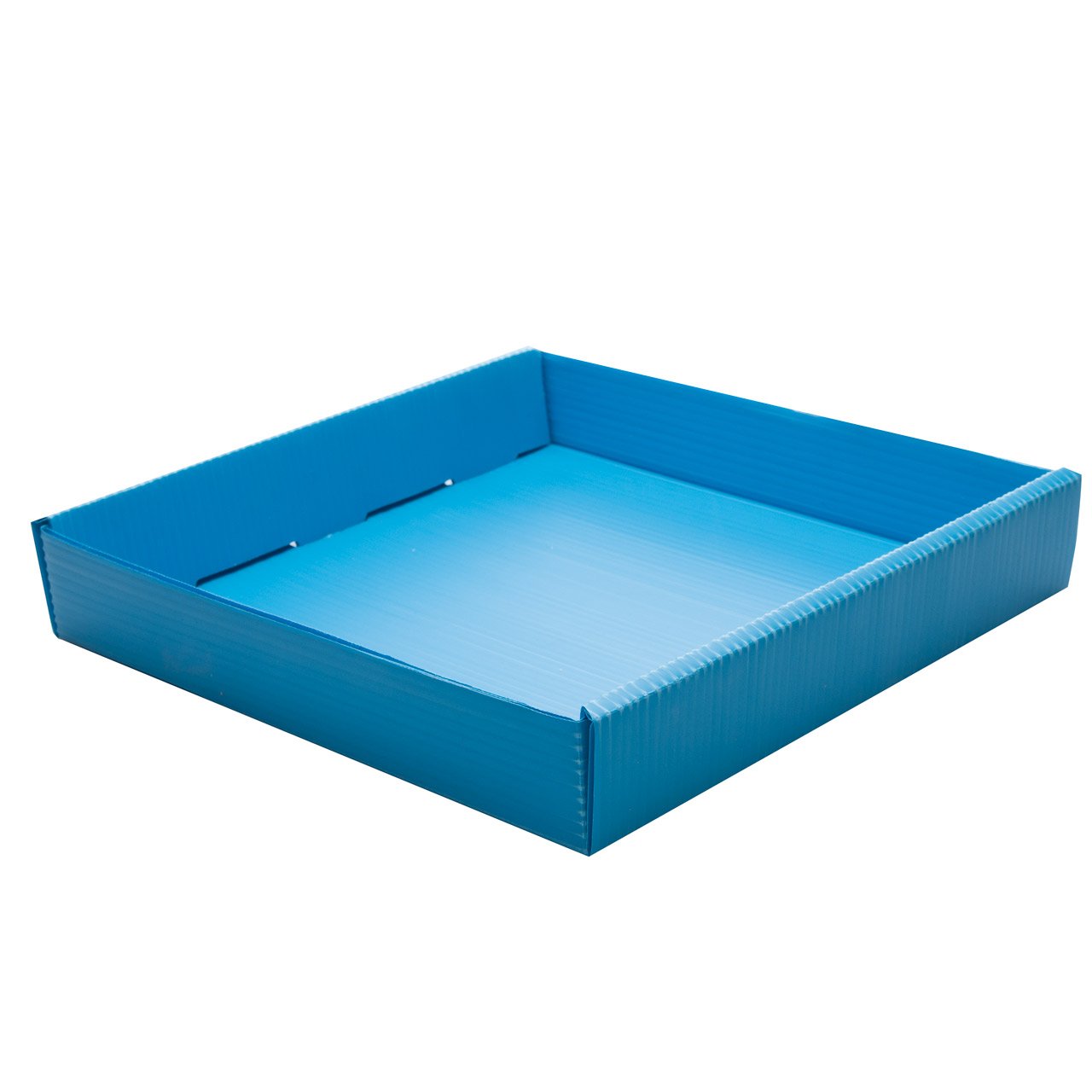 Corrugated plastic trays for wide vials-  Blue
